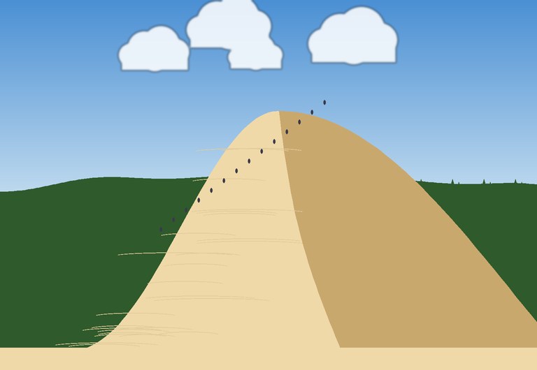 The Dune du Pilat between the ocean and the pine forest