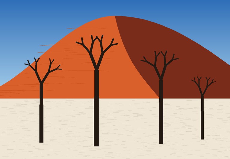 Dead trees on the white clay pan of Deadvlei